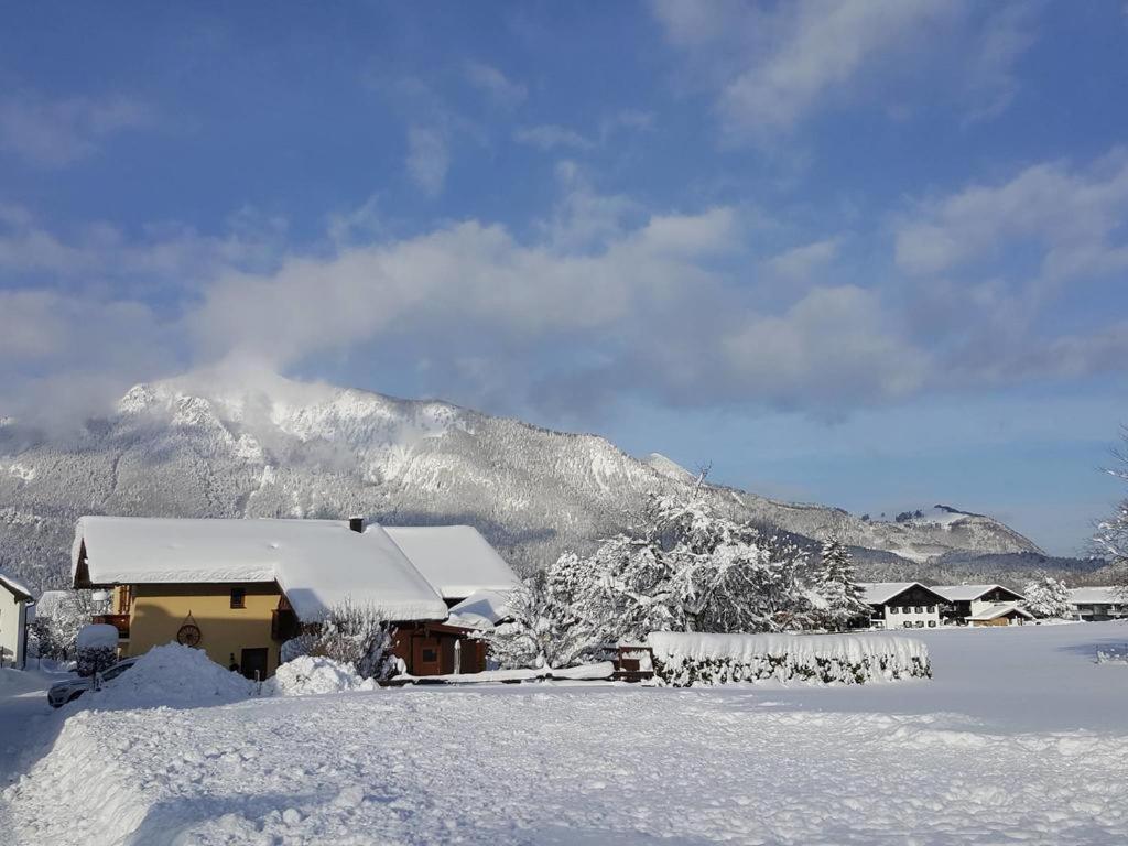 Chiemgauferienwohnungen - Wanderlust Und Alpenrose Unterwössen Esterno foto