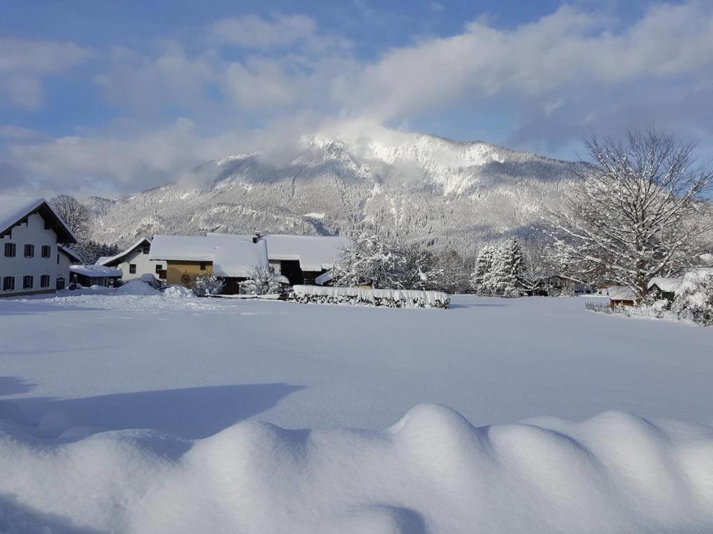 Chiemgauferienwohnungen - Wanderlust Und Alpenrose Unterwössen Esterno foto